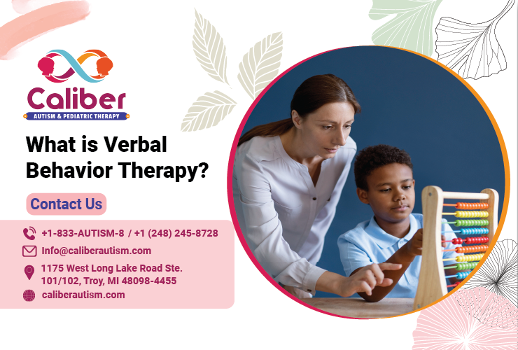 Verbal Behavior Therapy